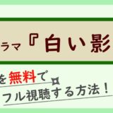 ワンピースフィルムゴールドの動画フルを無料視聴する方法 しのびぃ動画