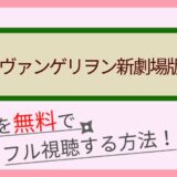 うぬぼれ刑事の動画配信を無料で1話から最終回まで全話フル視聴する方法まとめ しのびぃ動画